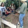 Tour del Cafe Finca Buenos Aires